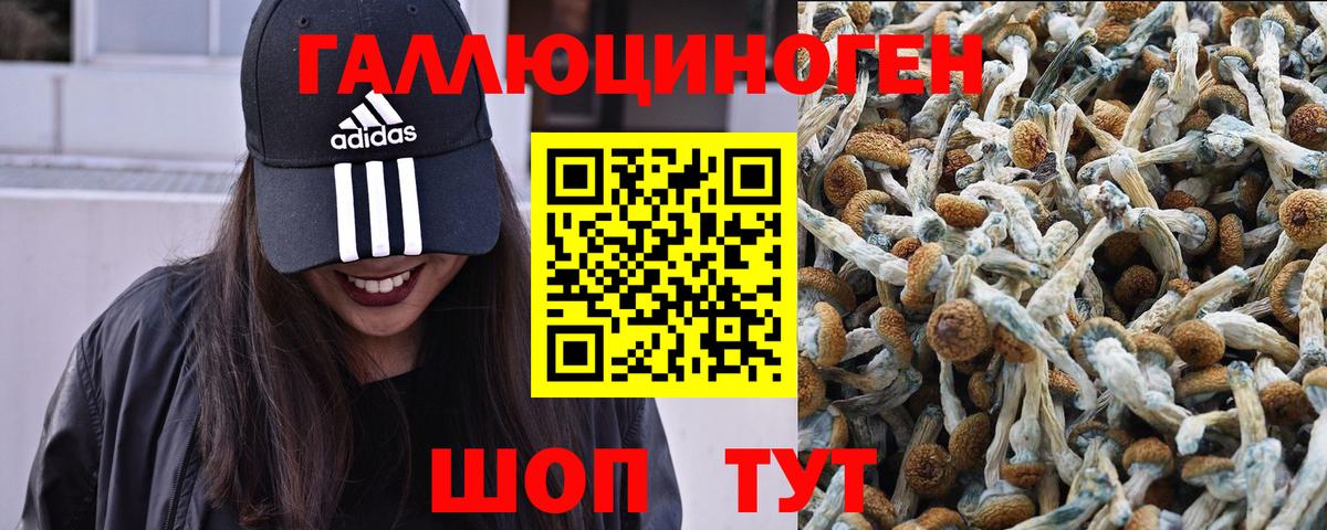 Псилоцибиновые грибы MAGIC MUSHROOMS Отрадное