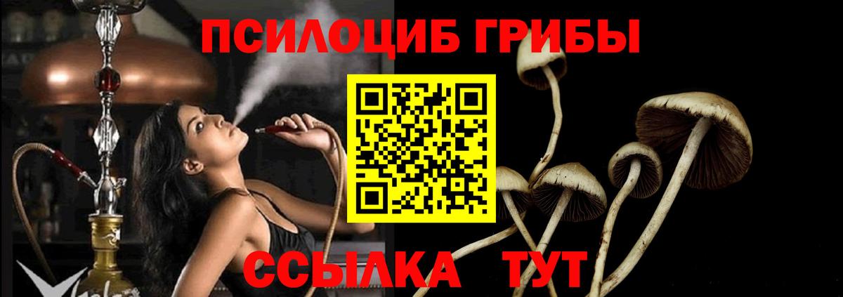 Галлюциногенные грибы Magic Shrooms  купить наркотик  Вход с VPN  Отрадное  Галлюциногенные грибы MAGIC MUSHROOMS 